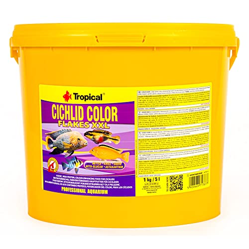 Tropical Cichlid Color XXL - Food for Aquarium Fish - 5 l 1 kg