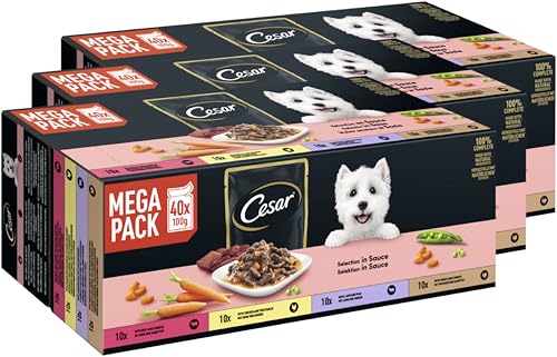CESAR Portionsbeutel Multipack Selektion in Sauce 4 Varietäten 3 x 40 x 100g