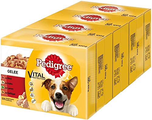 Pedigree Vital Protection Hundenassfutter im Beutel Hundefutter in Gelee mit Rind Huhn Lamm GeflÃ¼gel 48 x 100g GroÃŸpackung