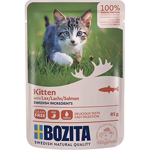  Häppchenße Lachs für Kitten 12x 85g