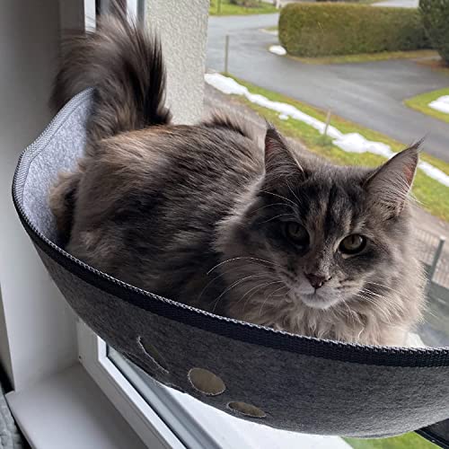 Aoresac Fensterliegeätze Matten Saugnapf für Sonnenbaden 20 KG 70 cmx 29