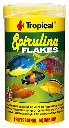 Tropical Spirulina Flakes Pflanzliches Flockenfutter mit Spirulina 1er Pack 1 x 250 ml