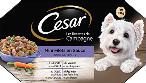 Cesar Hundemahlzeit 24 Schalen 3 Packungen mit 8 x 150 g Nassfutter fÃ¼r Hunde in Sauce Rind Huhn Lamm Truthahn komplettes Futter ausgewogenes Futter mit natÃ¼rlichen Inhaltsstoffen