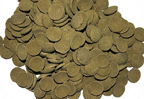 Wohnkult Hausmarke Welschips Algae Wafers Plecos für Welse Corydoras Futtertabletten Spirulina Welsfutter 500 ml