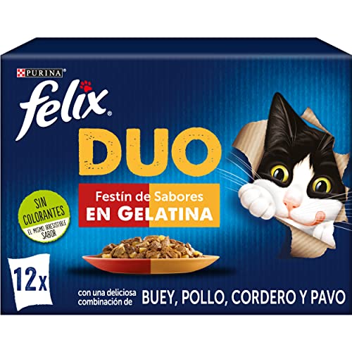 PURINA FELIX Duo Fest aus Gelatine braun Regular 6er Pack