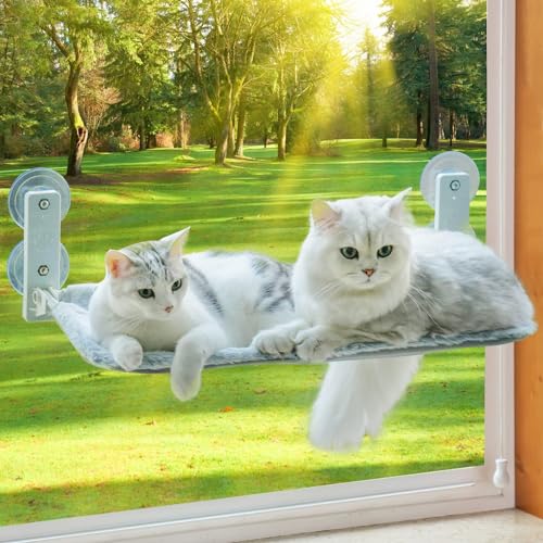 MEWOOFUN Katzen HÃ¤ngematte FensterplÃ¤tze fÃ¼r Katzen 60x30cm Klappbar Katzenbett Fenster mit Stabil SaugnÃ¤pfe bis zu 18kg Grey