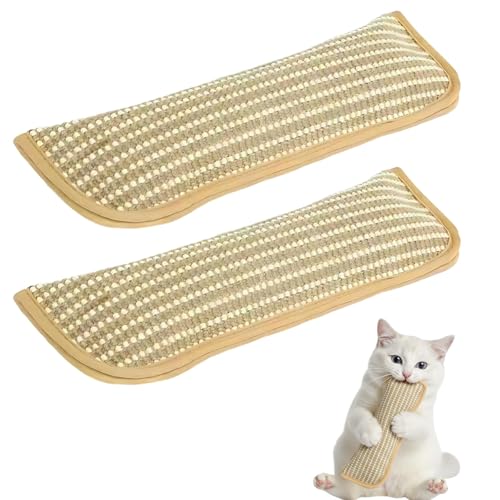 PjuQow Katzenminze Kissen 2er Set Katzenkissen Minze für Spielstunden Weiches Katzenminze Spielzeug mit Kratzfestem Stoff Bequeme Ruhekissen für Wohnung und Haus 30 x 20 cm Größe