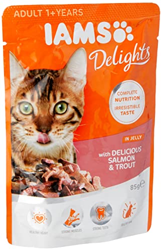 IAMS Delights Cat Wet Salmon Trout Jelly Single Pouch 85g