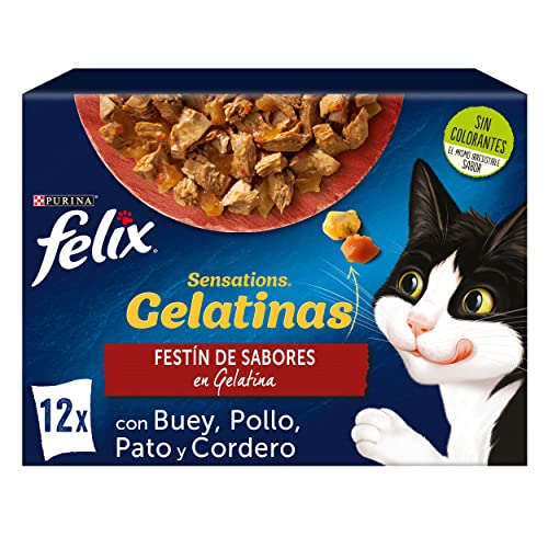 Felix Sensations Nassfutter für ausgewachsene Katzen Gelee Sortiment aus Ochse Huhn Ente und Lamm 6 Packungen mit 12 Beuteln 85 g 72 Beutel