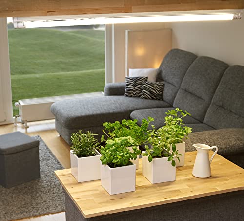 NEUSIUS PFLANZENLICHT LED Pflanzenlampe Leuchtröhre 3500 Kelvin 120cm G13 T8 mit Fassung