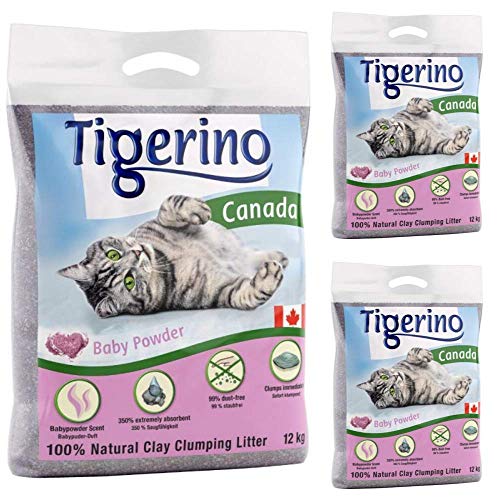 Tigerino Canada Katzenstreu klumpend Babypuderduft 3 x 12 kg parfümiert antibakteriell Einweg- und hypoallergenes Hygienestreu mit Geruchskontrolle