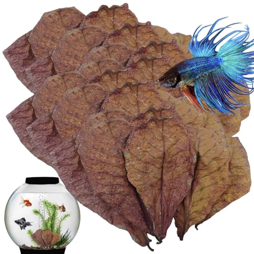 Betta Leaves Mandelblätter Fish Tank PH Conditioner Betta Shrimp Leaves Natural Additiv Turtle Tank PH Balancer Shrimp Habitat Zubehör