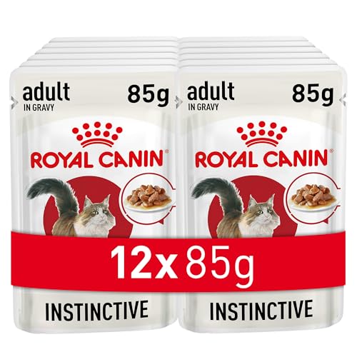 Royal Canin Instinctive Gravy 12 x 85 g Nassfutter für ausgewachsene Katzen Kleine Stückchen in Soße Zur Unterstützung eines gesundes Lebensstils