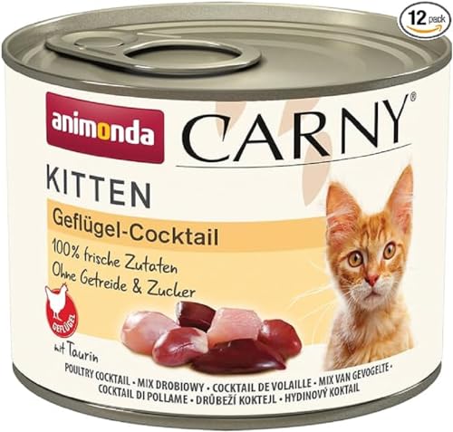 animonda Carny Kitten Nassfutter für Katzen Katzenfutter Dosen nass für Kitten Geflügel Cocktail 12 x 200 g