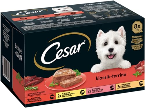 CESAR Schale Multipack Klassik-Terrine 4 Varietäten 8 x 150g