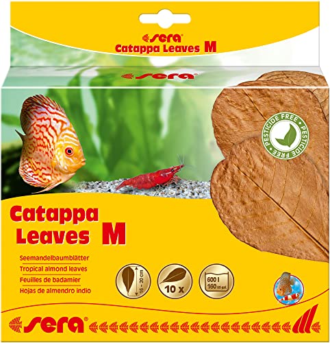 sera Catappa Leaves - Seemandelbaumblätter für die natürliche Wasseraufbereitung M 10er Pack