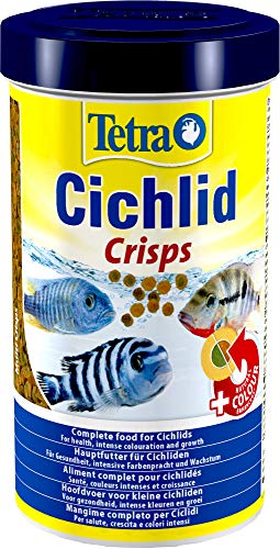 Tetra Cichlid Crisps - Fischfutter für Cichliden mit natürlichen Farbverstärkern minimale Wasserbelastung geeignet für Futterautomaten 500 ml Dose