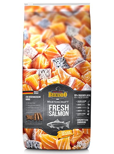  Mastercraft Fresh Salmon 10kg 80% frischer Lachs getreidefrei Lachs sortenrein große mittlere kleine Rassen