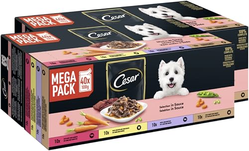 CESAR Portionsbeutel Multipack Selektion in Sauce 4 Varietäten 2 x 40 x 100g