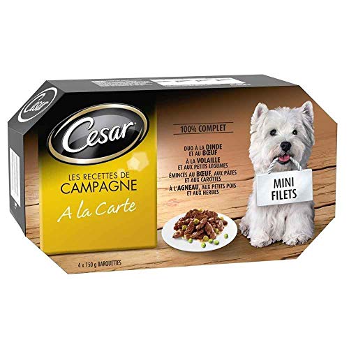 CESAR Barquettes Mini filets en sauce - 4 vari t s - Pour chien adulte - 4 x 150 g