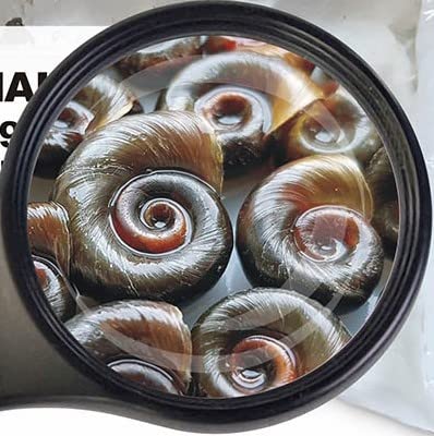 Lebendfutter SAHAWA Posthornschnecken mittel Fischfutter 5 x 90ml Futterschnecken