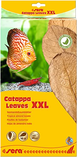sera Catappa Leaves XXL 30-35 cm 10St - Seemandelbaumblätter für die natürliche Wasseraufbereitung
