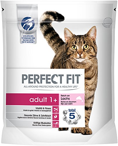 Perfect Fit Cat Trocken Adult 1 plus reich an Lachs 750 g