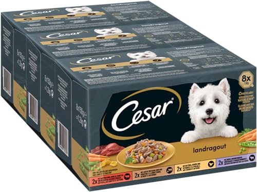 Cesar Hundefutter Nassfutter Landküche Vielfalt in Sauce 24 Schalen 3 x 8 x 150 g