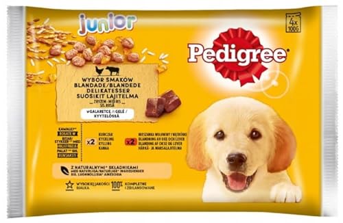 Pedigree Junior Choice of Flavours Nassfutter für Welpen Aller Rassen mit Rindfleisch und Reis in Gelee Beutel 4x100g