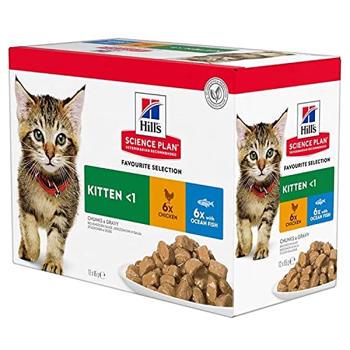 Hill s SP - Kitten - Favourite Selection 12 x 85 g Gratis Behälter