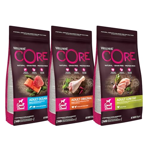 Wellness CORE Probierpaket Small Breed Hundefutter trocken für ausgewachsene Hunde Kleiner Rassen 3 x 1 5kg ohne Zuckerzusatz getreidefrei mit hohem Fleischanteil