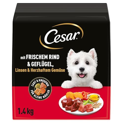 Cesar 5 x 1.4kg Adult Hundetrockenfutter mit frischem Rind Geflügel Gemüse