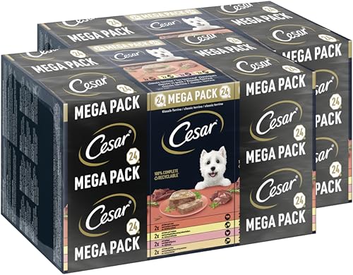 CESAR Schale Multipack Klassik-Terrine 4 Varietäten Mix 2 x 24 x 150g