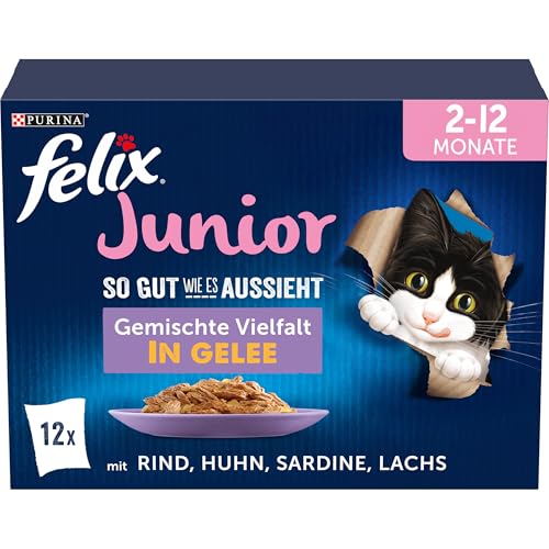  Junior Kittenfutter Sorten Mix 6er 6x 12 Beutel
