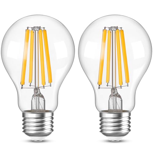 Genixgreen E27 LED Edison Glühbirnen A60 A19 4W 806lm Glühbirnen Retro Stil Globe Filament Warm White 2700K Dekorative Glühbirne 40W Äquivalent Nicht-Dimmbar 2-Pack