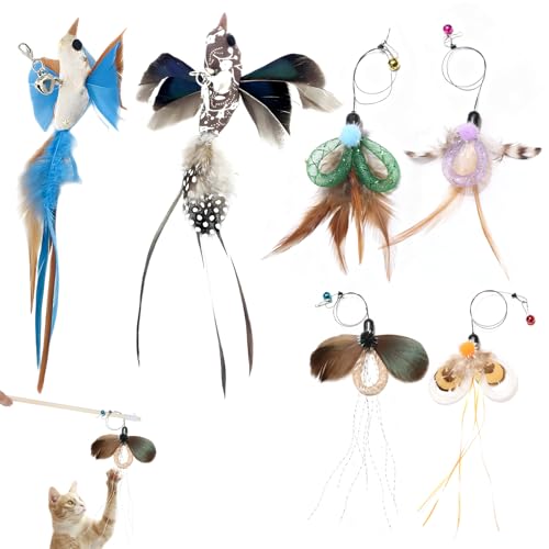 WideSmart Katzenspielzeug Feder 6 Stück Katzenspielzeug Angel Ersatz Insektenförmig Katzen Federspielzeug katzenspielzeug Selbstbeschäftigung Vogel für Kleine Große Katzen