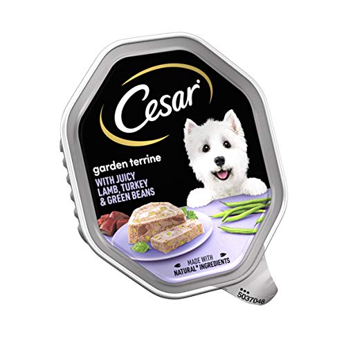 Cesar Garten Terrine - Nasses Hundefutter für erwachsene Hunde 1 Saftiges Lamm Türkei und Grüne Bohnen im Brot 14 Tabletts 14 x 150 g