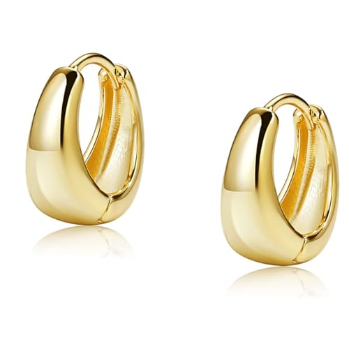 DILYUPE Silber 925 Creolen Kleine Ohrringe Damen Ohrringe Klobig Kleine 14K Gold Creolen Klobig Dick Knorpel Kreolen Huggie Creolen Mini Kleine Creolen