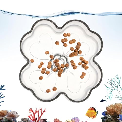 Fischfutterautomat - Blütenförmiges Futtertablett Mit Saugnapf Für Aquarium - Futterbehälter Für Fischglas für Schildkröten Betta Tetra Salzwasser Süßwasser und