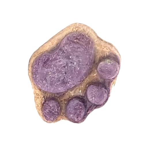 Fbinys Katzen-Leckerlis für Indoor-Katzen Oral Cleaning Cat Snacks - Katzenkekse Natürliche Gesunde Katzenleckerlis Trockene Katzenleckerlis Kätzchen-Leckerlis Pfotenform Katzenfutter Leckerlis