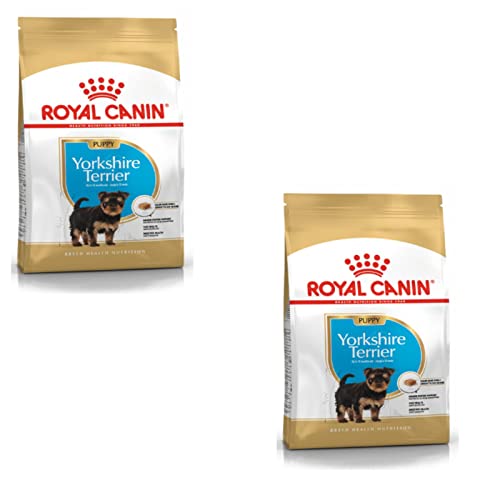 Royal Canin Yorkshire Terrier Puppy Doppelpack 2 x 500 g Trockenfutter für Yorkshire Terrier Welpen Zur Unterstützung des Immunsystems Für schönes Fell und Gute Zähne