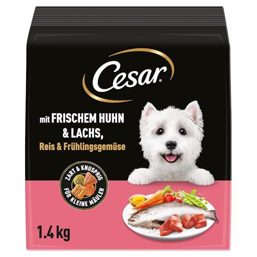 Cesar 5 x 1.4kg Adult Hundetrockenfutter mit frischem Huhn Lachs Gemüse