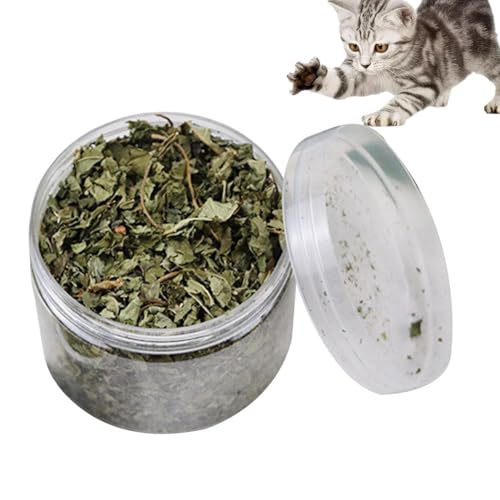 Pcingsia Natürliche Katzenminze 40 g natürliche Blätter Katzenminze Leckerli für die Zahnreinigung beruhigende natürliche Blätter Katzenminze entspannende echte natürliche Katzenminze gesunde