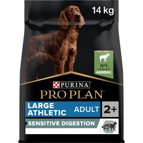 PURINA PLAN Large Athletic Adult Hundefutter trocken mit OPTIDIGEST reich an Lamm 1er Pack 1x 14kg