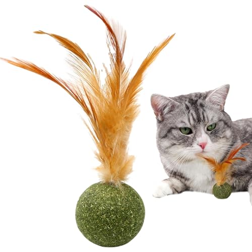 Mihauuke Katzenminze Ball Kätzchen Kauspielzeug mit Schwanz Kätzchen Leckerli Energie Ball für Zahnreinigung gegen Langeweile Indoor Spiel Jagdtraining Bewegung und geistige Stimulation