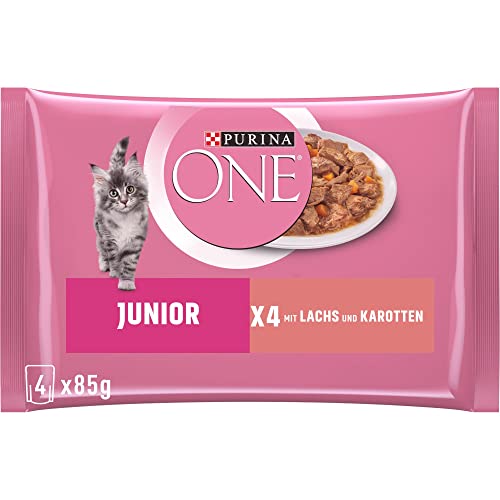PURINA ONE Junior Kittenfutter nass zarte Stückchen in Sauce mit Lachs Karotten 12er Pack 12 x 4 85g