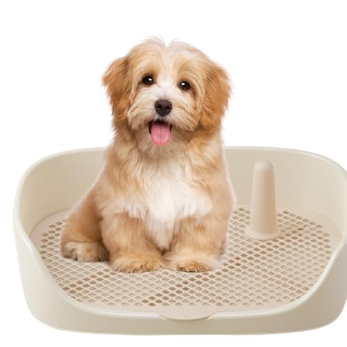 Hundetoilette Indoor Outdoor Hundetöpfchen-Toiletten-Trainingstablett - Töpfchentraining Für Hunde Mit Schutzwand Katzentoilette Für Den Innen- Und Außenbereich Für Kleine Und Mittelgroße Hunde