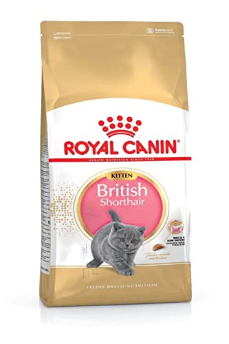 Royal Canin KITTEN British Shorthair Katzenfutter 2 kg 1er Pack 1 x 2 kg