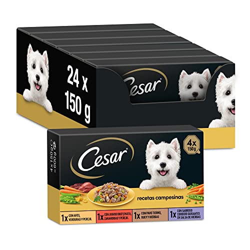 Cesar Nassfutter für Hunde Auswahl bäuerliche Rezepte in Sauce Multipack 6 x 4 Becher x 150 g