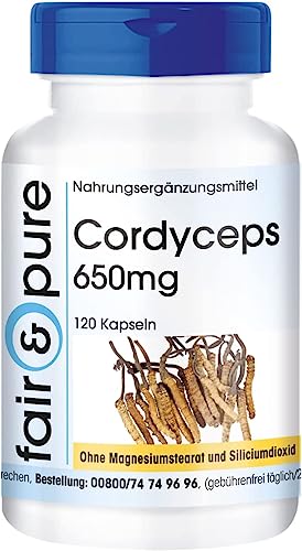 Fair Pure - Cordyceps 650mg Cordyceps Sinensis - ohne Magnesiumstearat - vegan - 120 Cordyceps-Kapseln